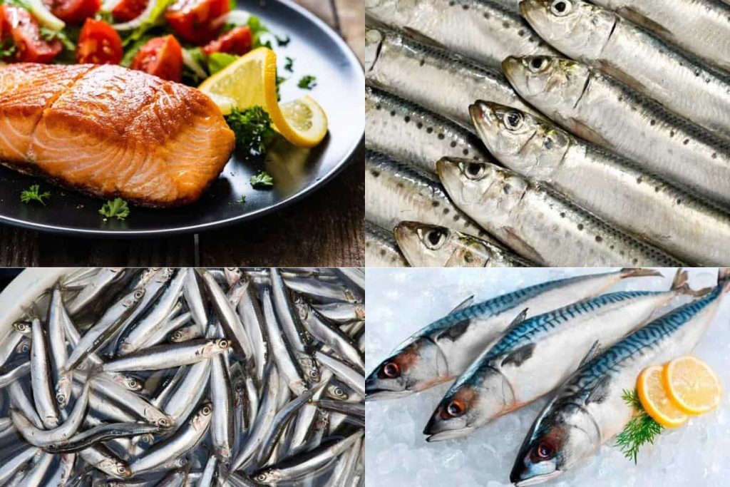 Các loại cá cung cấp nguồn omega-3 dồi dào giúp giảm sưng và đau khớp